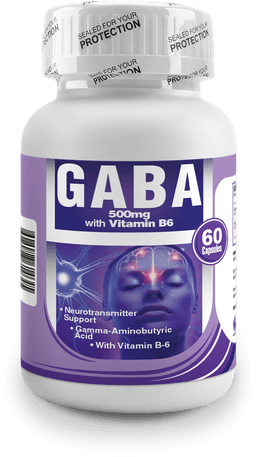 GABA 500MG WITH VITAMIN B6